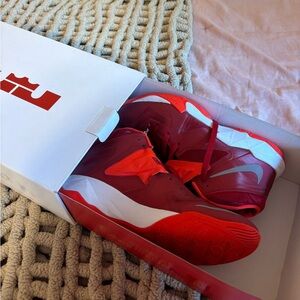 Nike Lebron James basketball shoes